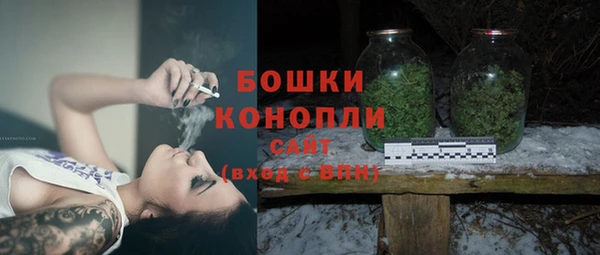 крисы Гусев